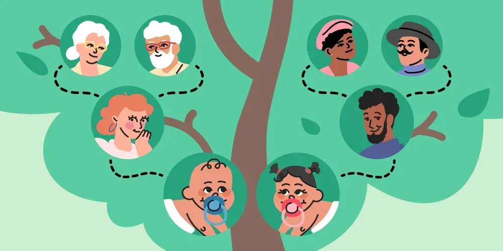 Causes of multiple pregnancies