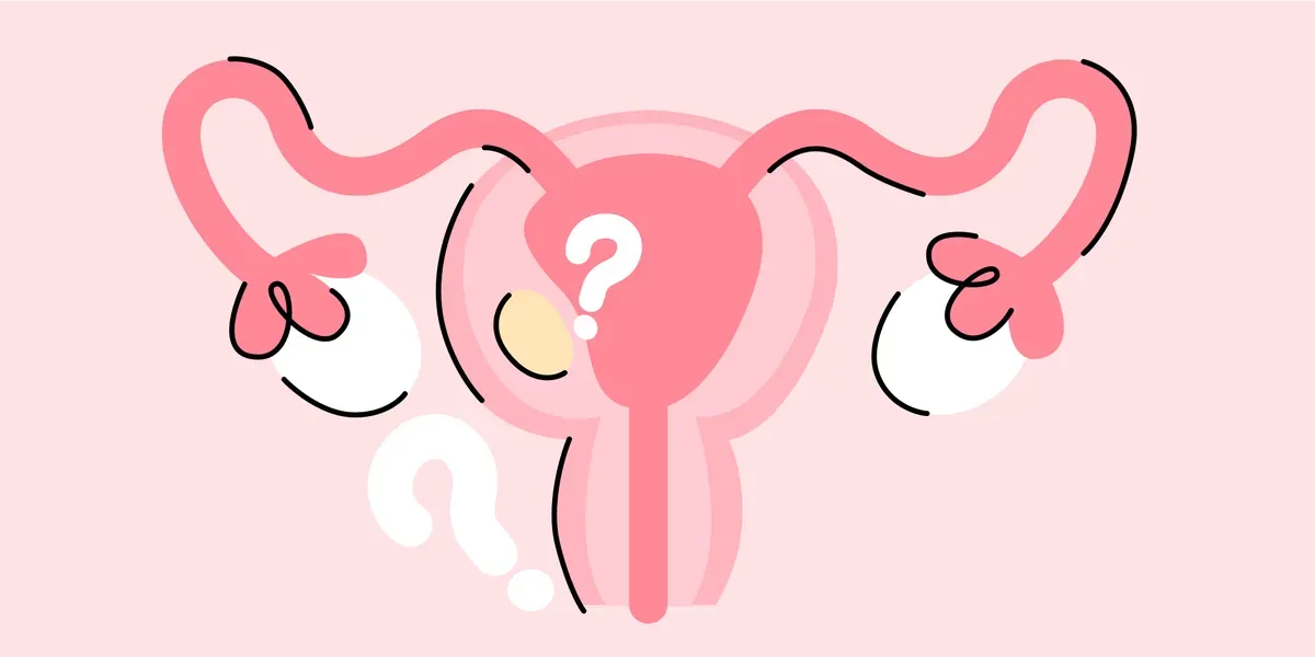 How do uterine fibroids affect pregnancy?