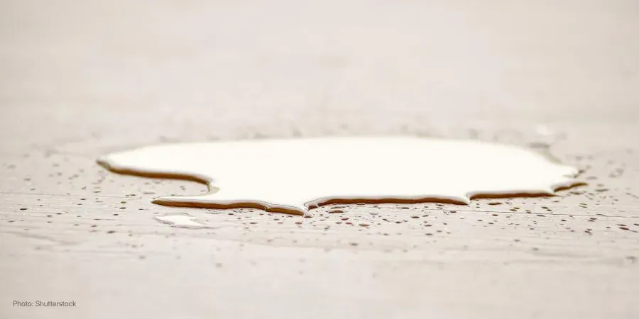 My water broke — what now?