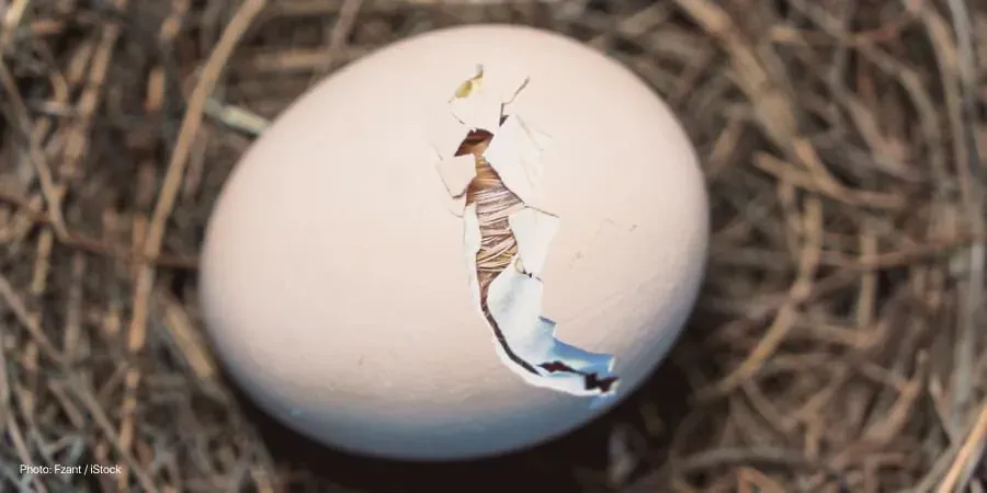 How to know it's time to go to the hospital?