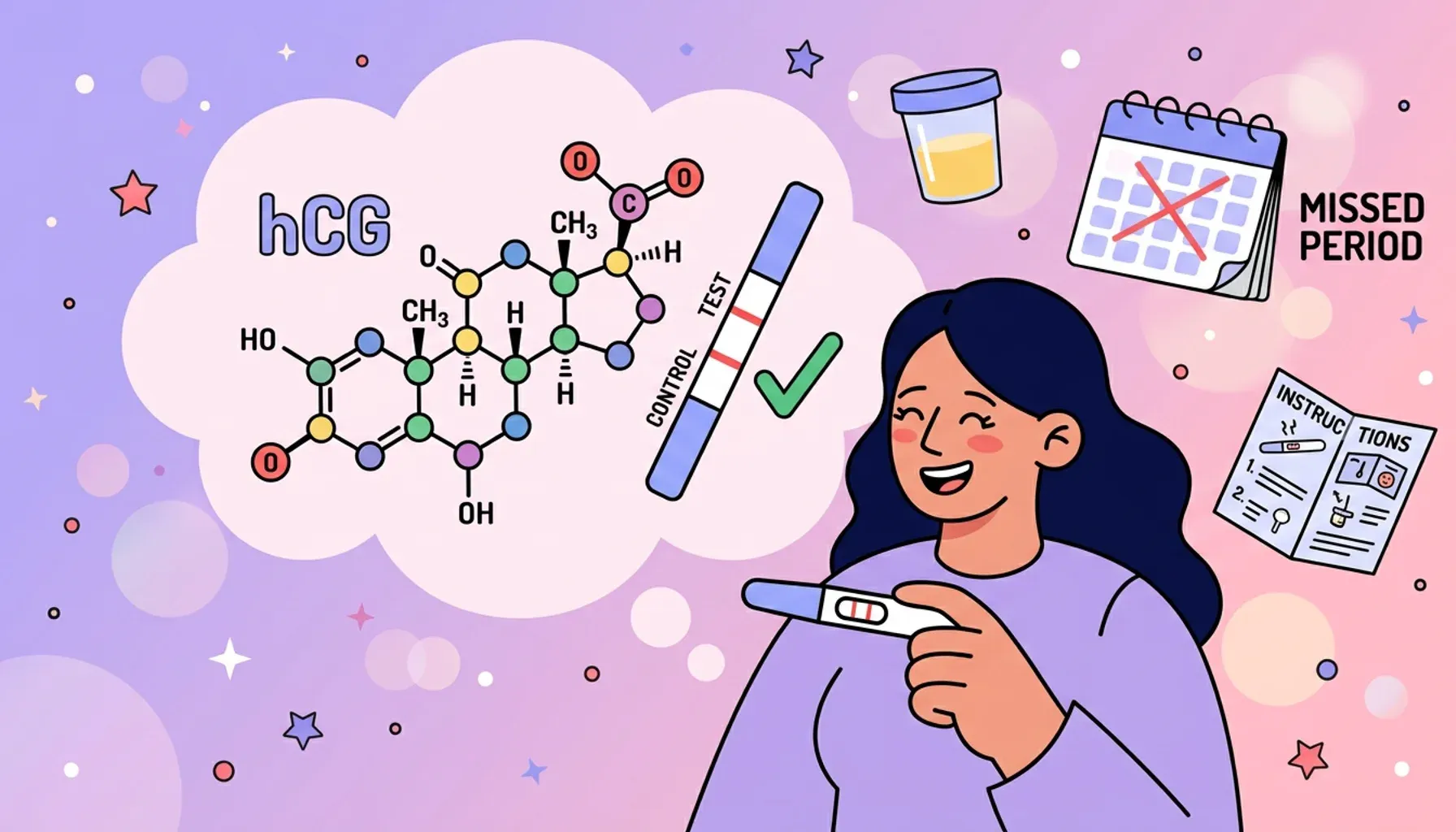 How pregnancy tests work