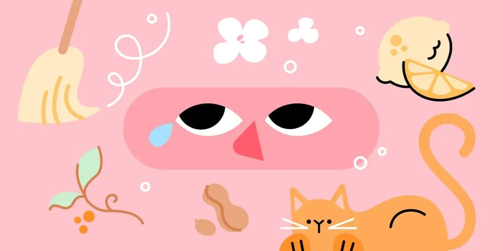 Allergies and Pregnancy: What you need to know