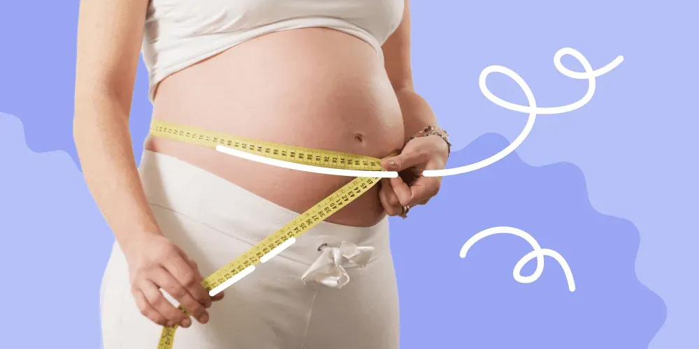 Comparing belly sizes