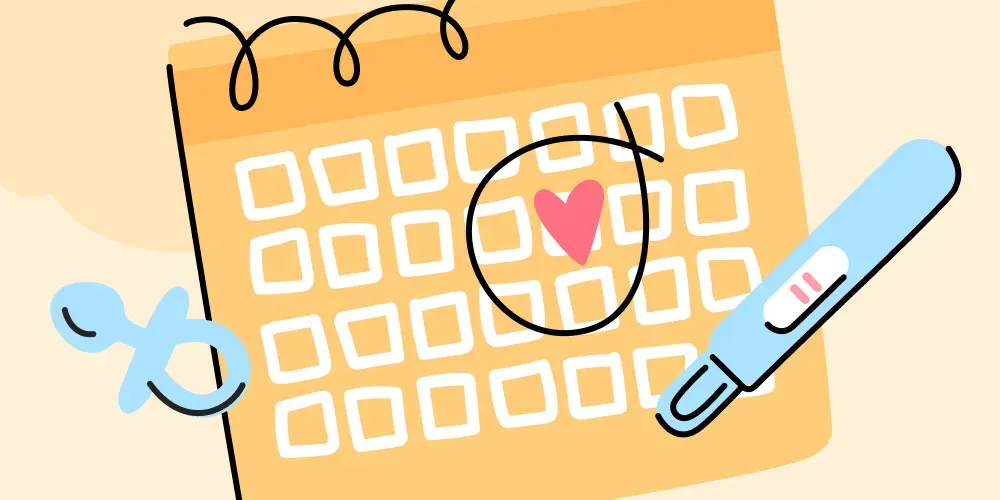 How to track ovulation