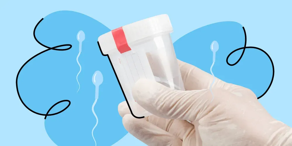 What is a spermogram?