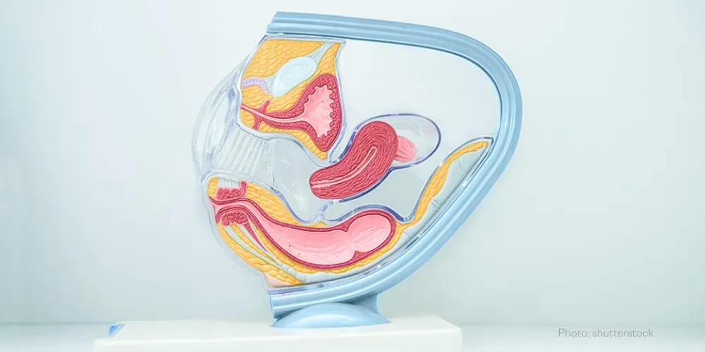 Pelvic organ prolapse: what you need to know