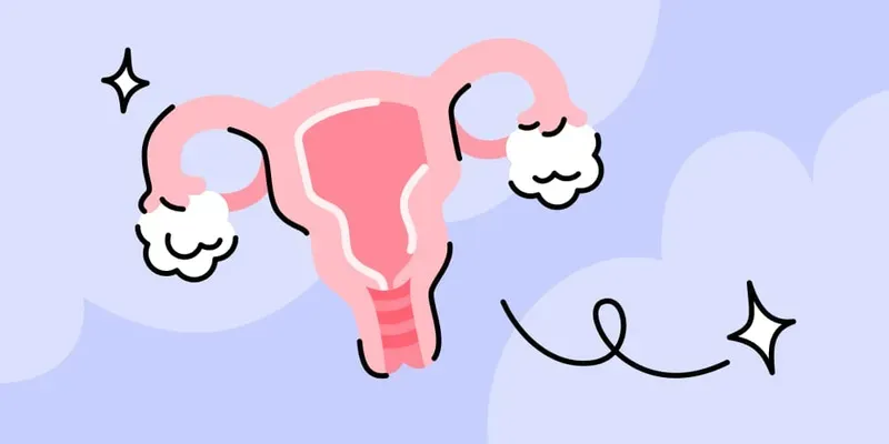 Let’s talk about the uterus